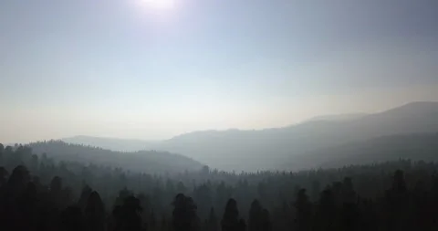 Sequoia aerial Stock Footage 168439181