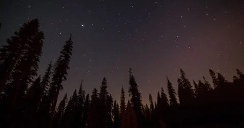 Sequoia Astro-Lapse Stock Footage 37810378