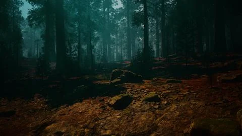 Sequoia Forest With Abundant Trees and Rocks Stock Illustration