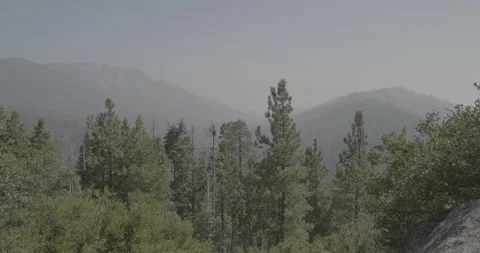 Sequoia Forrest Mountain View Stock Footage 168952197