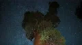 Sequoia General Grant Milky Way 05 World 2nd Largest Tree Kings Canyon 4K 4k or 4k+ Resolution