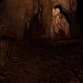 Sequoia General Grant Milky Way 02 World 2nd Largest Tree Kings Canyon Tilt U 4k or 4k+ Resolution