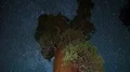 Sequoia General Grant Milky Way - World 2nd Largest Tree Kings Canyon Tilt Down 4k or 4k+ Resolution