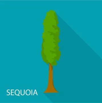 Sequoia icon, flat style Stock Illustration