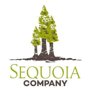 Sequoia logo Illustrazione stock