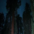 Sequoia Milky Way 03 Grant Grove Kings Canyon 4K 4k or 4k+ Resolution