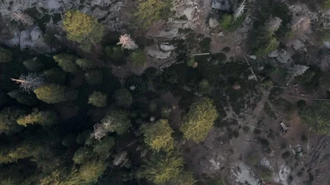 Sequoia National Forest Drone View California Stock Footage 159247879