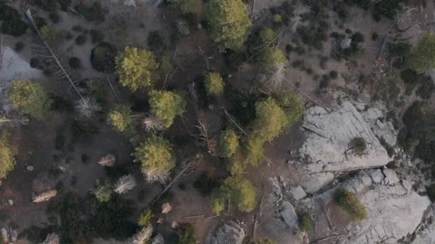 Sequoia National Forest Drone View California Stock-Footage 335258827