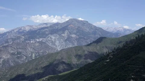Sequoia national forest Stock Footage 50805715