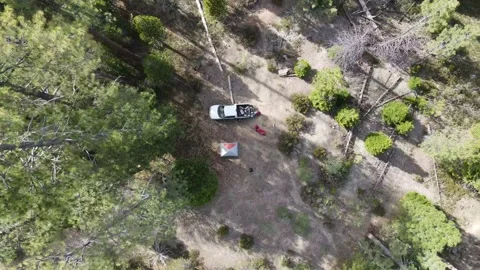 Sequoia National Forest Landscape Stock Footage 131680918