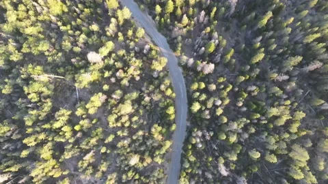 Sequoia National Forest Landscape Stock Footage 131683780