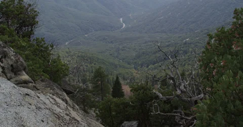 Sequoia National Park Stock Footage 37710711