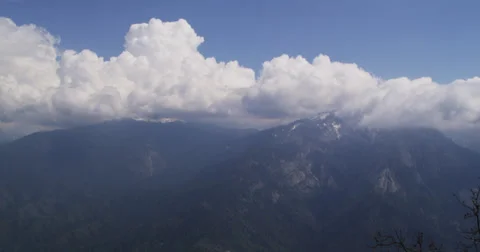 Sequoia National Park Stock Footage 37711523