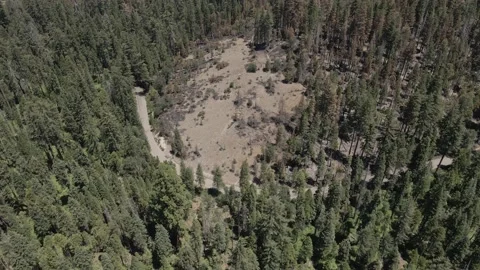 Sequoia National Park Video stock 142815312