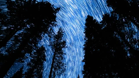 Sequoia National Park Star Trails of Polaris North Star in North Sky Stock Footage 319825524