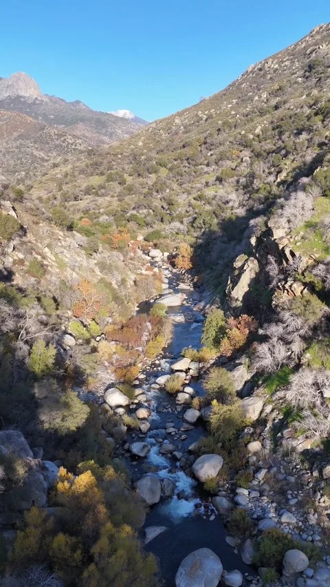 Sequoia River Canyon Winding Stream Aerial, Vertical Stock Footage 327543385