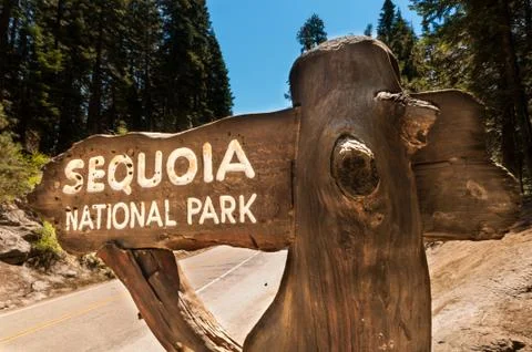Sequoia sign Stock Photos