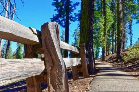 Sequoia Trail Stock Photos