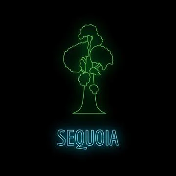 Sequoia tree glowing neon outline on black background Stock Illustration