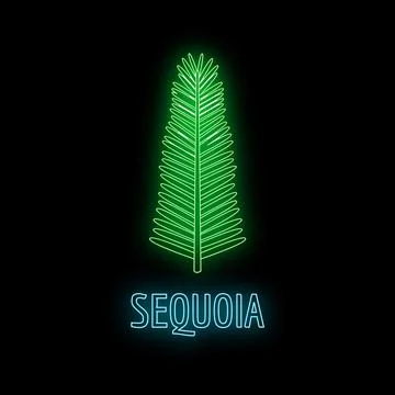 Sequoia tree neon glow nature concept Stock Illustration