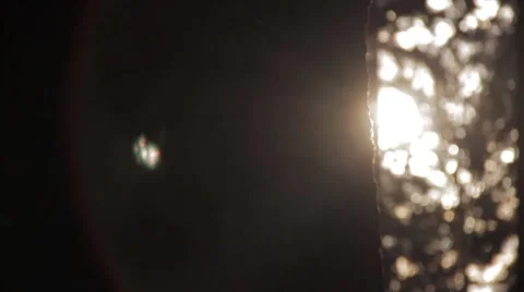 Sequoia tree, panning, sunlight 動画素材 56325029