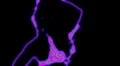 ser-11 - neon outlined gogo dancer silhouette in pink HD Footage