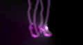 ser-14 - neon outlined gogo dancer silhouette in pink with light rays HD Footage