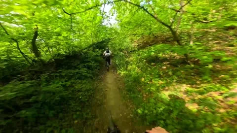 Serbia: Biker crashes into tree during fast ride at Kosutnjak Bike Park i... Stock Footage 333878078
