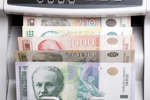 Serbian dinar in a counting machine Foto stock