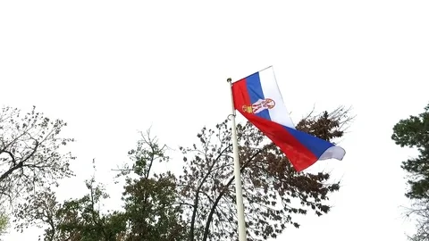 Serbian flag Stock Footage 81630743
