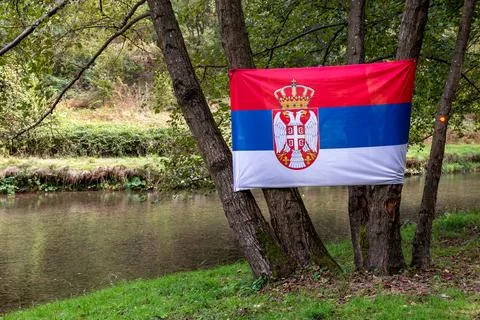 Serbian flag on the trees by the river Stock Photos