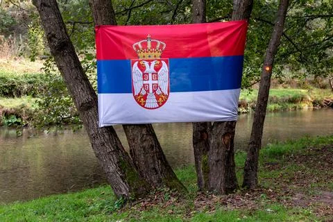 Serbian flag on the trees by the river Stock Photos