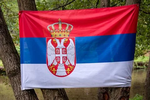 Serbian flag on the trees by the river Stock Photos