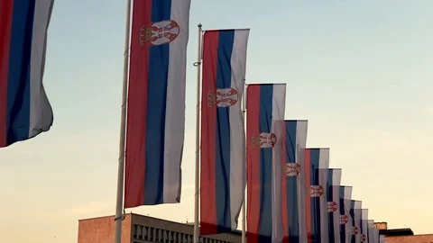 Serbian flags on the wind Stock Footage 123471119