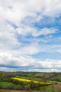 Serbian landscape Stock Photos