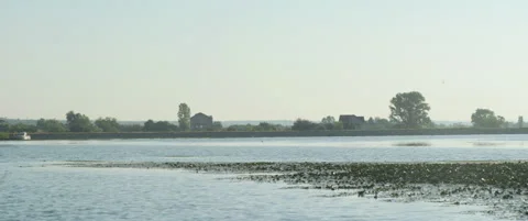 Serbian side of Danube river by Brza Palanka 5.7K scope video Stock Footage 315201824