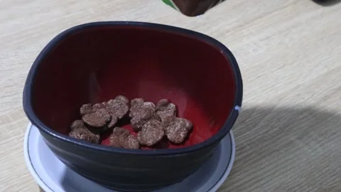 Sereal (1) Video stock 320037743