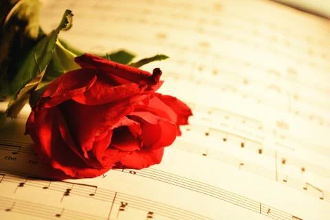 Serenade Stock Photos