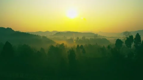 Serene 4K Aerial View of Morning Mist Enveloping Mountain Forest Landscape Stock Footage 319831663