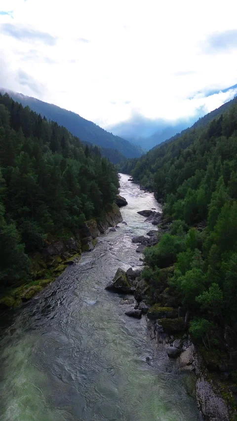 Serene 4K River Flowing Through Lush Mountains Surrounded by Nature in Norway Vídeos de archivo 296017556