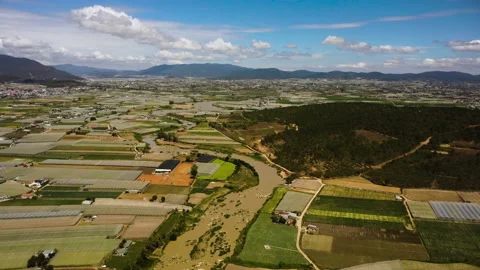 Serene aerial panorama of patchwork landscape of plantations in Lam Dong Stock Footage 221052760