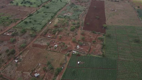 Serene African countryside with patchwork fields, Southern Kenya, aerial Stock-Footage 256131256