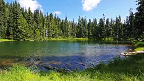 Serene Alpine Lake in Mount Rainier National Park, Washington State, USA 스톡 동영상 332090833