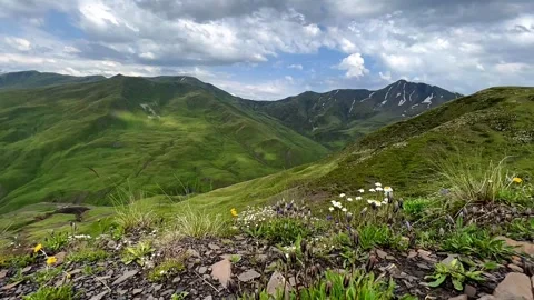 Serene Alpine Meadows under Blue Sky Stock Footage 260206967
