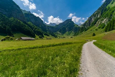 Serene Alpine Pathway Through Lush Green Meadows and Majestic Appenzell Peaks Stock Photos