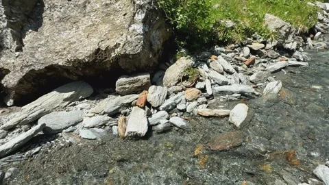 Serene Alpine Stream Flows in Slow Motion Through Lush Summer Landscape in .. Stock Footage 339605976