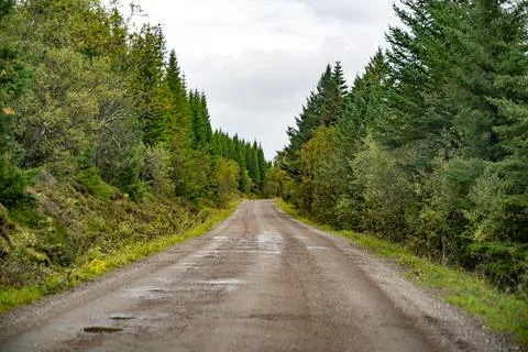 A serene and evocative view of a remote, unpaved gravel road, stretching stra Stock Photos