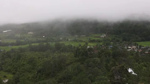 A Serene and Foggy Landscape Featuring Lush Greenery. Stock Footage 302263553