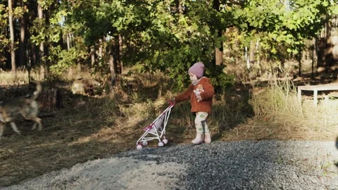 In a serene and tranquil forest setting, a joyful child happily walks alongside Stock Footage 309048099