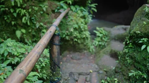 A Serene and Tranquil Path Way Winding Through The Lush Jungle Surrounded by Stock Footage 308417000